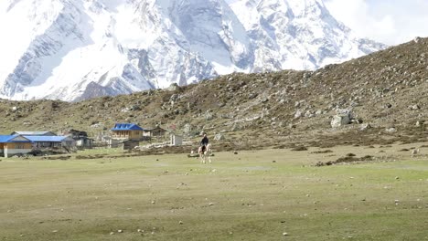 un jinete cabalga en el campo seco en el pueblo de bimthang, nepal.