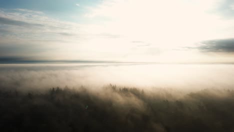 sunrise over a misty forest