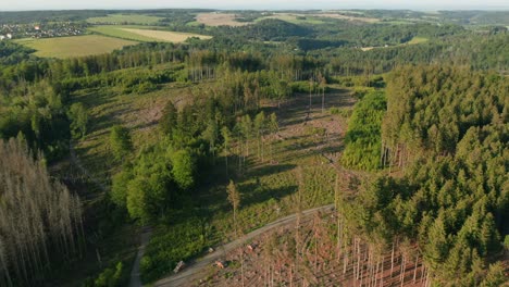 fotografía de avión no tripulado de un bosque de abeto deforestado checo golpeado por un escarabajo de corteza rodeado de claros con tocones y campos