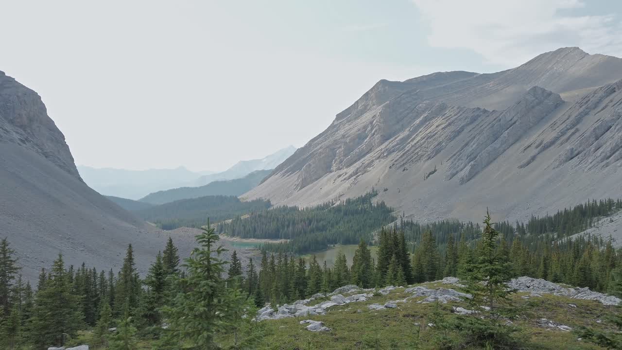 Vuoristolampi laakson metsässä lähestyttäessä, Kalliovuoret, Kananaskis, Alberta, Kanada.