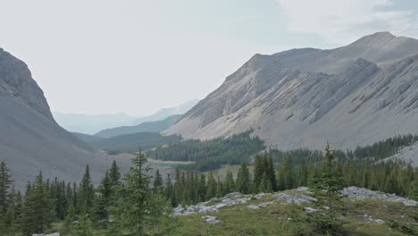 mountain pond valley forest approached rockies kananaskis alberta canada