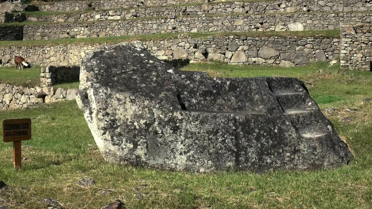 마추피추 (machu picchu) 에 있는 라마와 의식적인 바위
