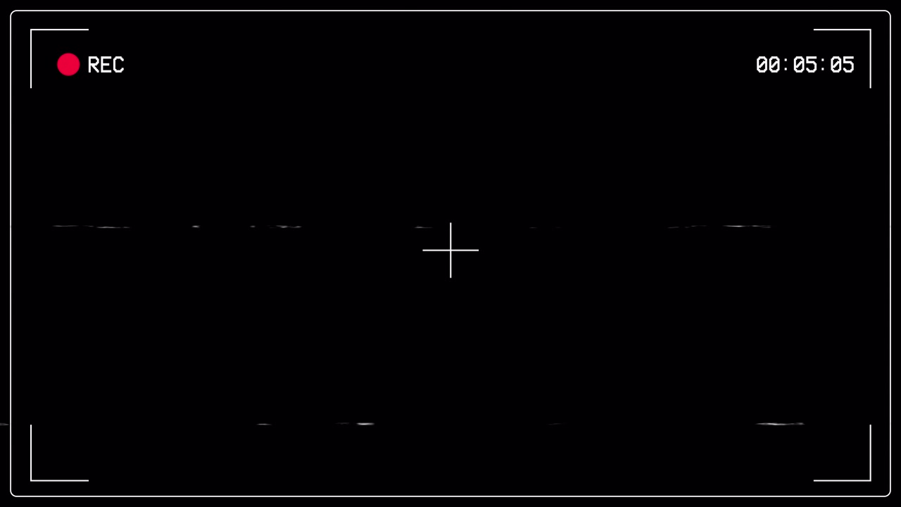 Digital Camcorder Recording Interface With Glitch Effects