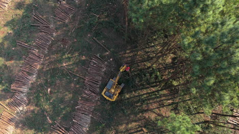 harvester machine moving tree trunks in lines. wood production. deforestation. panoramic drone aerial view pull away.