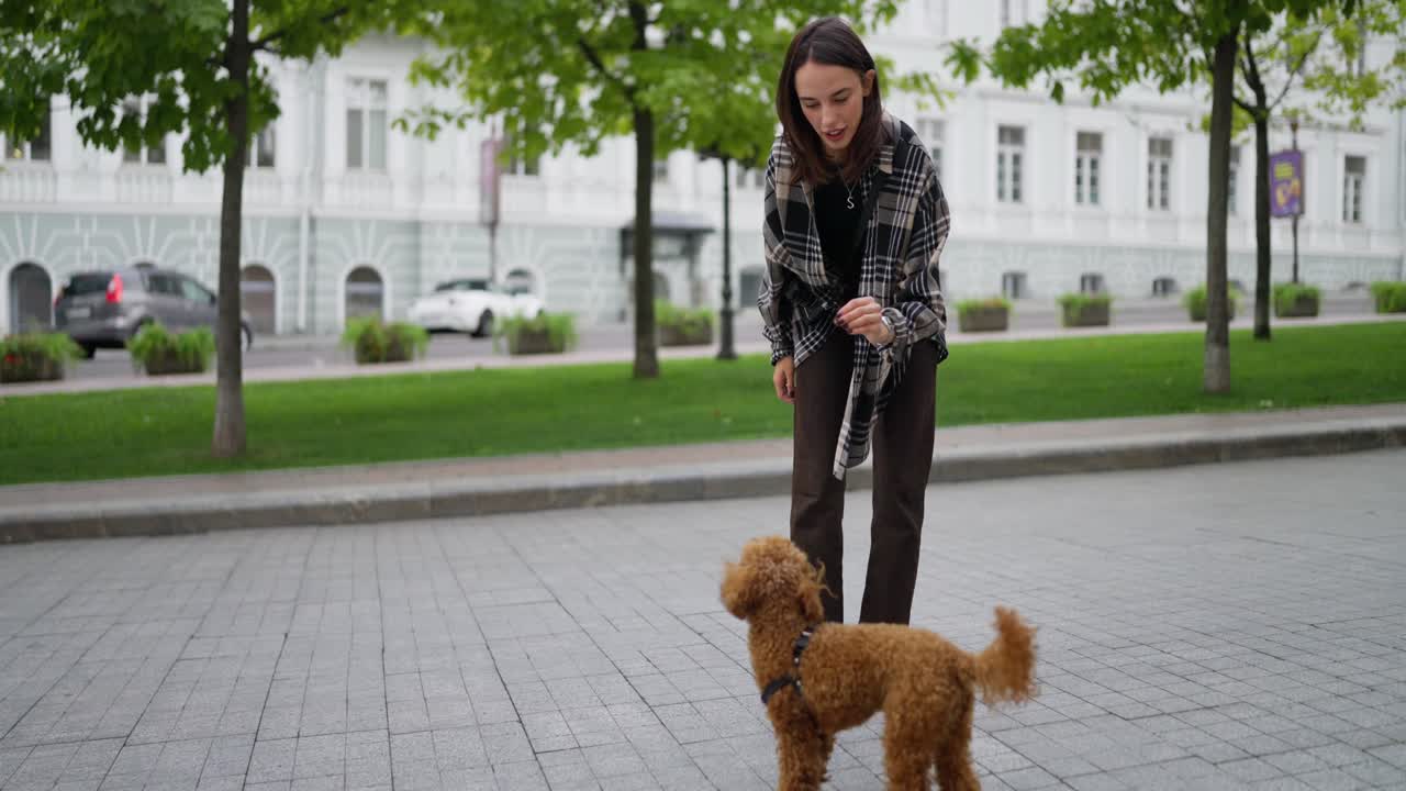 한 여자 가 도시 에서 개 를 산책 시키고 있다