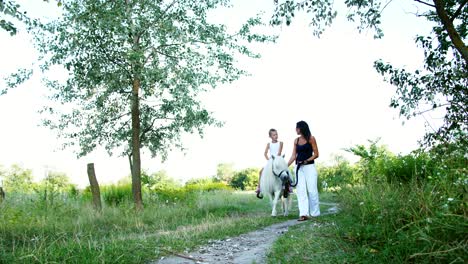 a woman and a boy are walking around the field, son is riding a pony, mother is holding a pony for a bridle. cheerful, happy family vacation. outdoors, in summer, near the forest