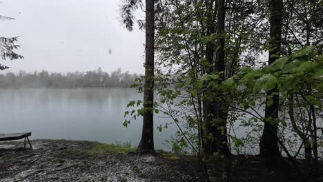 Schnee-Fällt-Auf-Eine-Parkbank-Mit-Blick-Auf-Den-See-Und-Einem-Baum-Im-Vordergrund