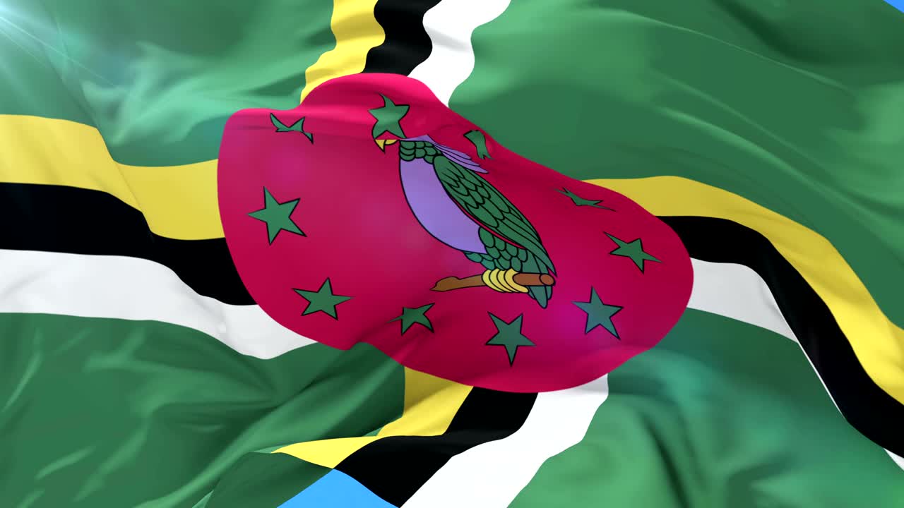 доминиканский флаг махает на ветру с голубым небом в медленном, петле