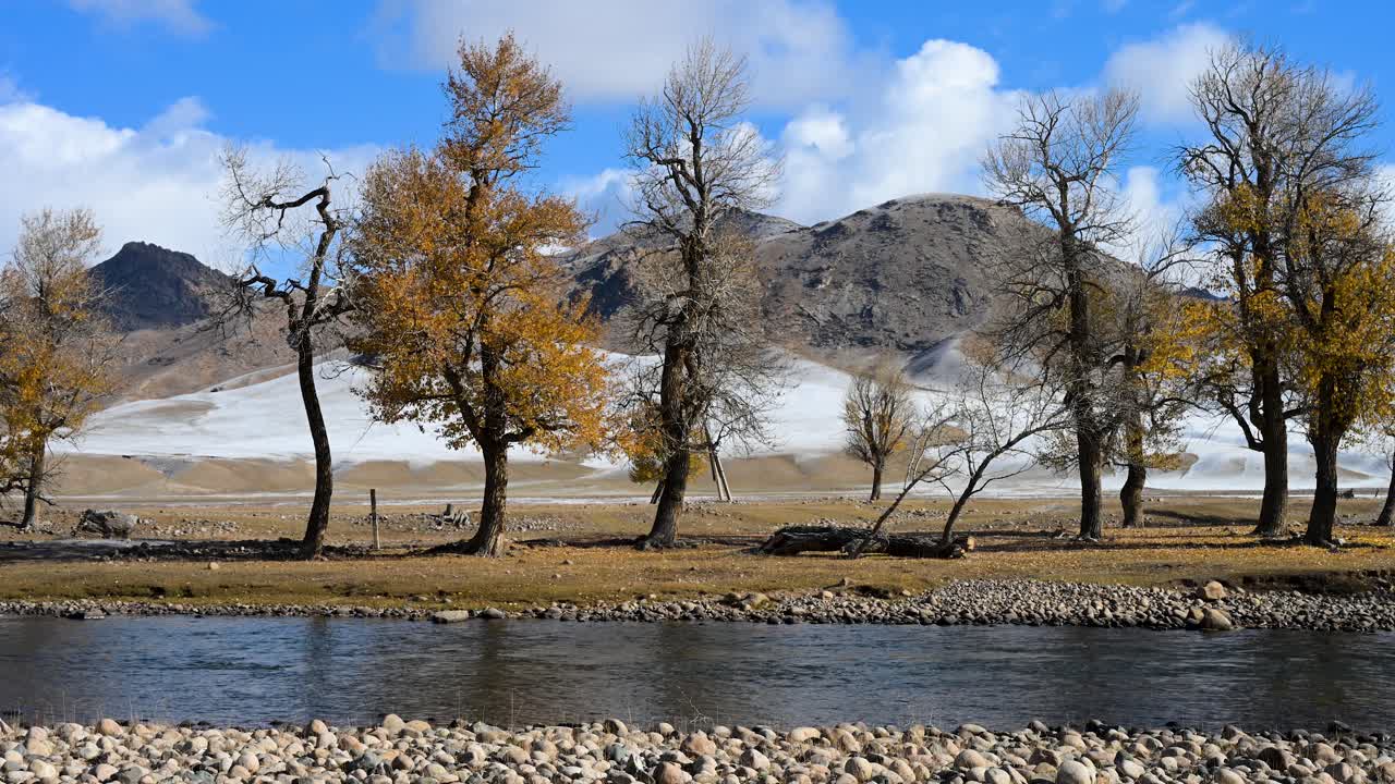 A clear river flows through a remote Mongolian landscape where autumn meets winter. Golden-leafed trees line the bank, with a snow-covered plain and rugged mountains behind