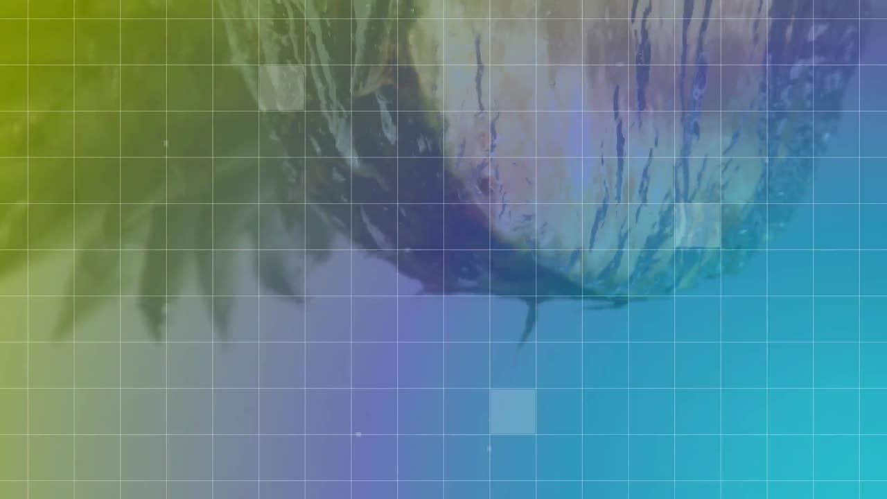 una cuadrícula colorida con un cuadrado de chisporroteo virtual cayendo mientras la mitad de la piña cae sobre el agua