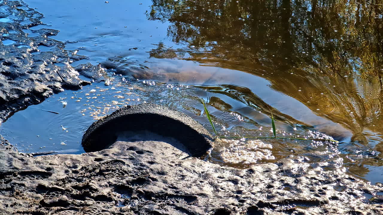 Dirty water flows from a pipe into a muddy area surrounded by vegetation and stagnant water