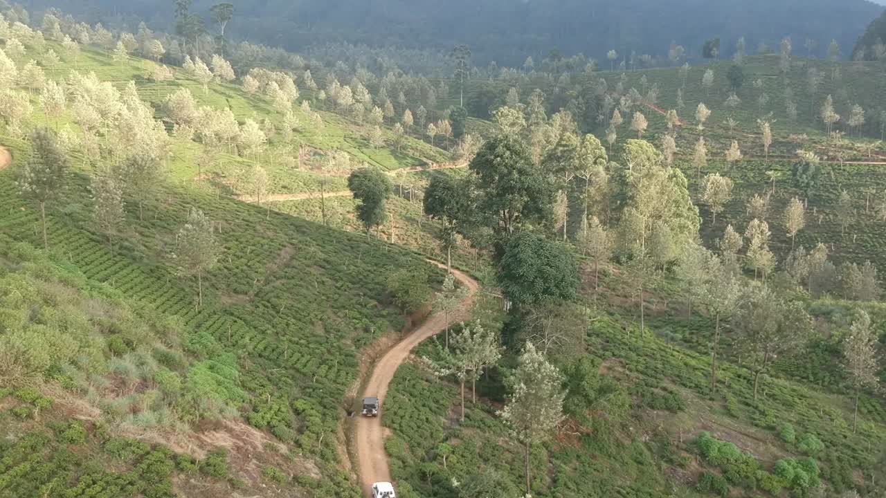 Aerial Over Road Running Through Tea Plantation In Sri Lanka. Follow Shot