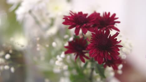 close up of red white bridal bouquet with bokeh background