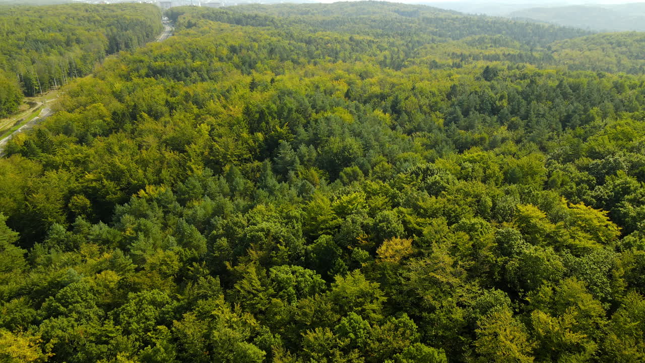 vuelo aéreo de drones sobre el bosque verde desierto cerca de la carretera en un día soleado