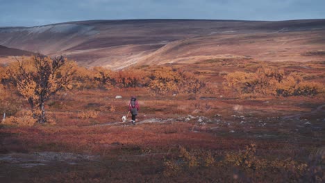 Una-Excursionista-Con-Su-Pequeño-Compañero-De-Perro,-Caminando-Por-El-Sendero-En-El-Parque-Nacional-Varanger-En-Un-Frío-Y-Ventoso-Día-De-Otoño