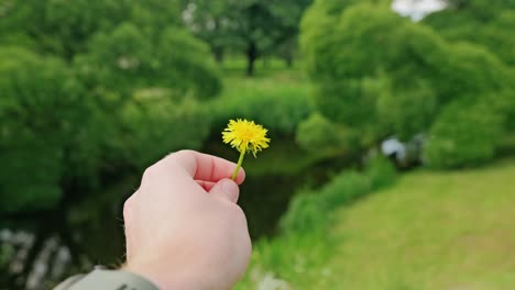 close-up of fingers spinning flower gently with defocused greenery, sunset tones