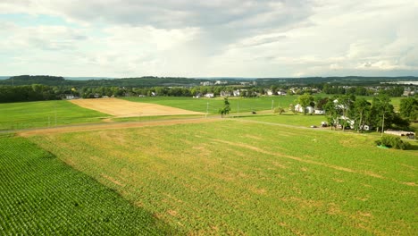 Aerial-drone-view-of-agriculture-farmland-during-sunset