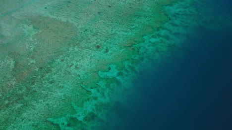 Abstract reef formation with color gradients and shallow tropical water