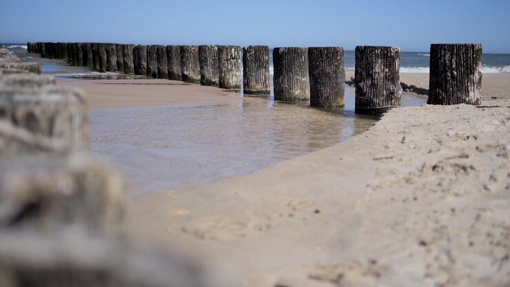 Frangiflutti in legno stagionato che si estende lungo una spiaggia sabbiosa