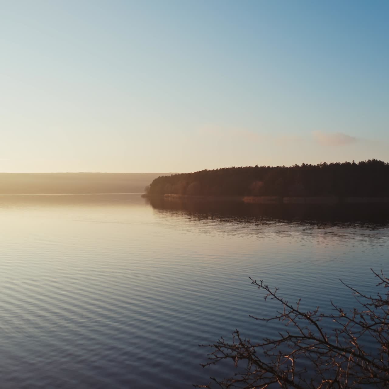 Evening river among nature.Tree without leaves over the water at sunset. Dark forest near the lake.
