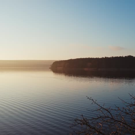 evening river among nature.tree without leaves over the water at sunset. dark forest near the lake.