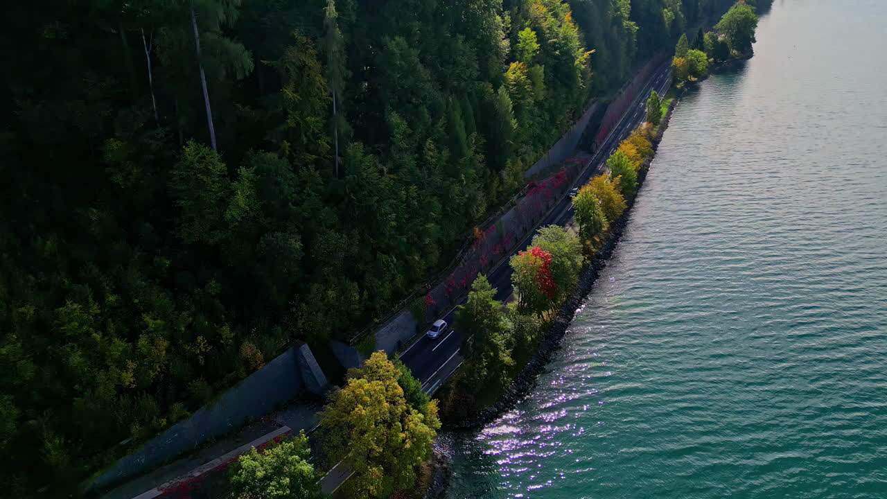 산기?? 에 있는 숲 아래 아름다운 호수를 따라 도로를 달리는 자동차
