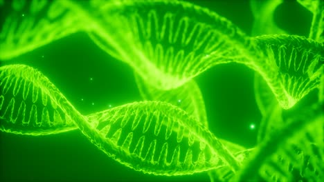 structure-of-the-DNA-double-helix-animation