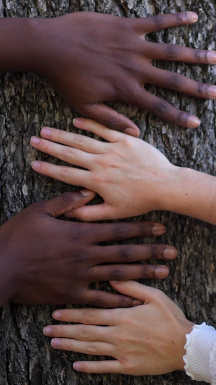 Diverse Hands Together on a Tree Trunk
