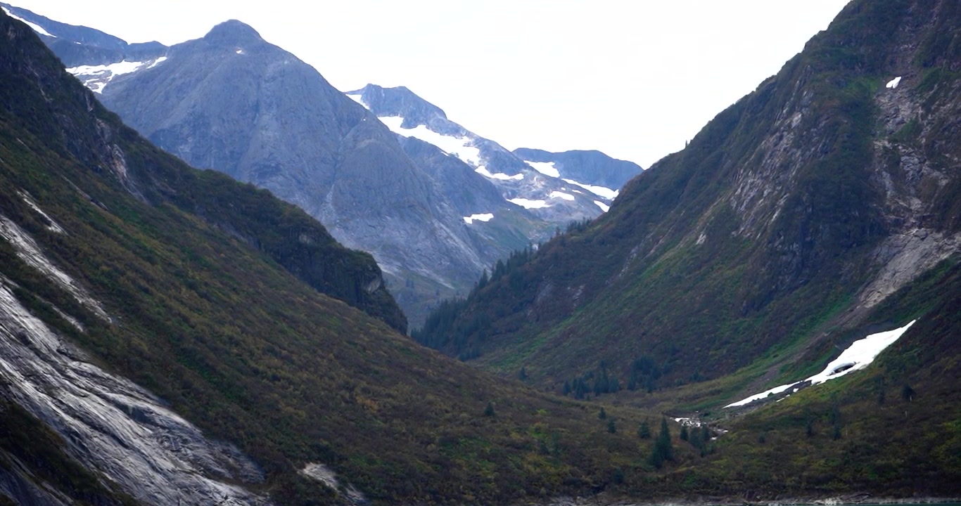 Vihreä sammalpeitteinen laakso Tracy Arm -vuonossa, Alaskassa, lähikuva