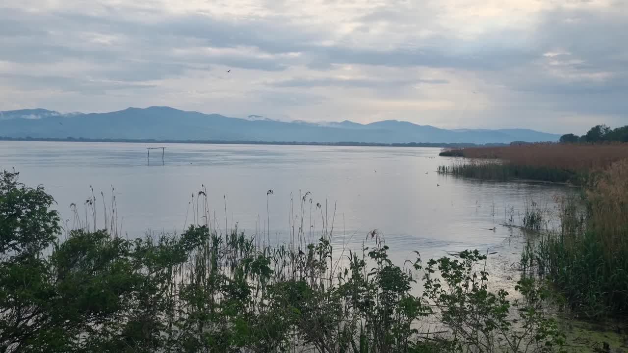 Scenic view of Kerkini Lake in northern Greece on a calm, cloudy spring day, showcasing wetlands, tranquil waters, and the surrounding natural landscape