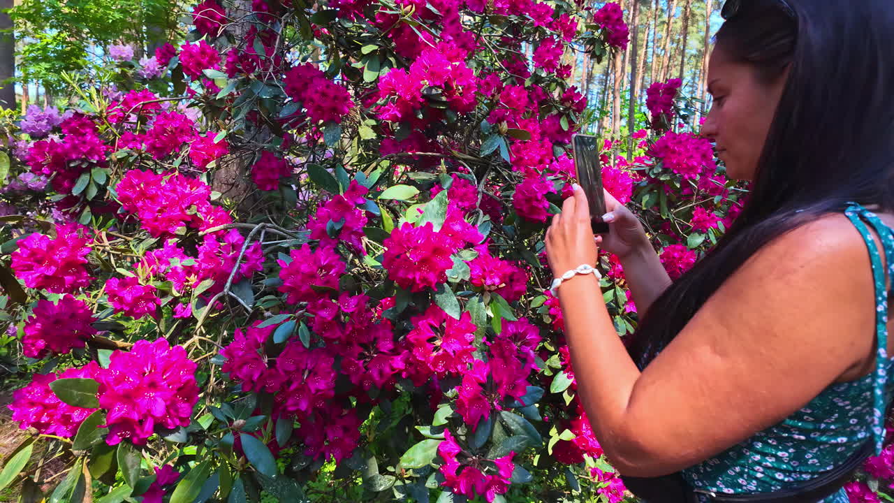 Woman taking photos of Rhododendrons in a Forest