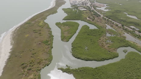 Lento-Sobrevuelo-Aéreo-De-Afluentes-Costeros-Y-Bosques-De-Aguas-Verdes-En-El-Oeste-De-Gambia