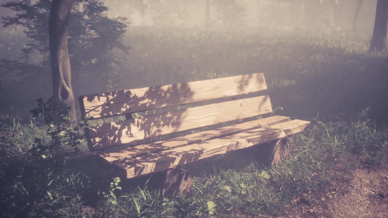 Quiet wooden bench in a foggy forest during early morning light