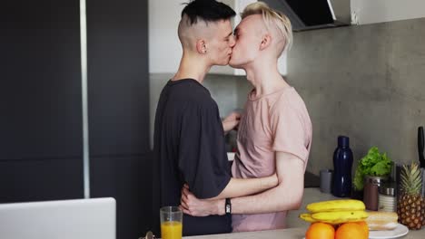 gay male couple hugging and kissing in kitchen sensually