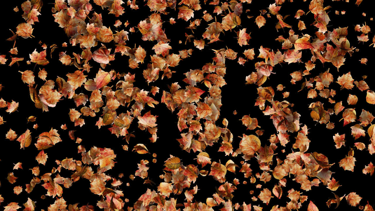 Falling Autumn Leaves Backround Loop with Alpha Transparency