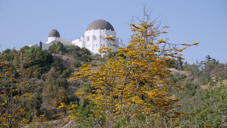 hermoso parque del observatorio griffith y vista de las colinas
