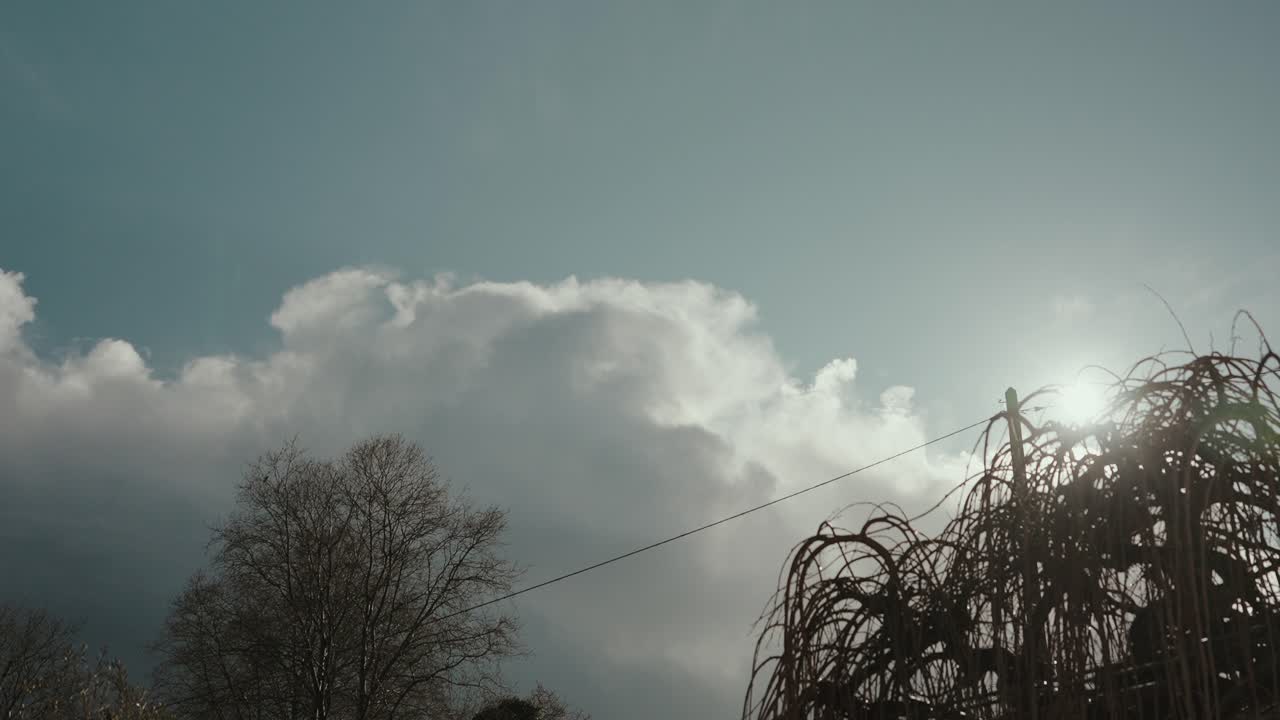 Heldere zon schijnt door grote wolken boven boomsilhouetten.