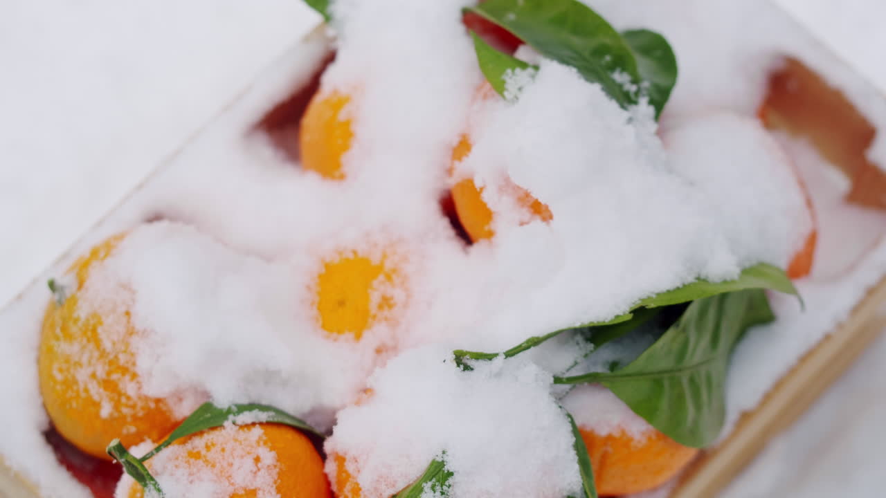 눈 속의 오렌지