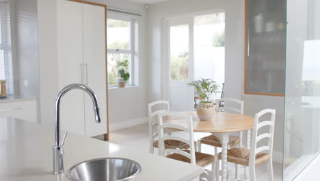 big white empty kitchen with plants, big wardrobe and table with chairs, slow motion