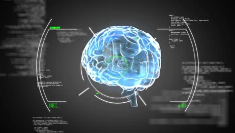 Animation-of-scope-scanning-over-data-processing-and-spinning-human-brain-icon-on-grey-background