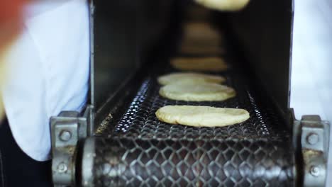 tortilla in a conveyor belt freshly made in a traditional mexican tortilleria