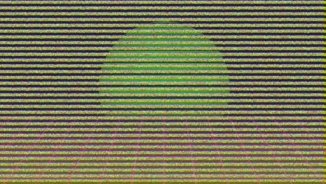 animation of glitch interference over neon lines on black background