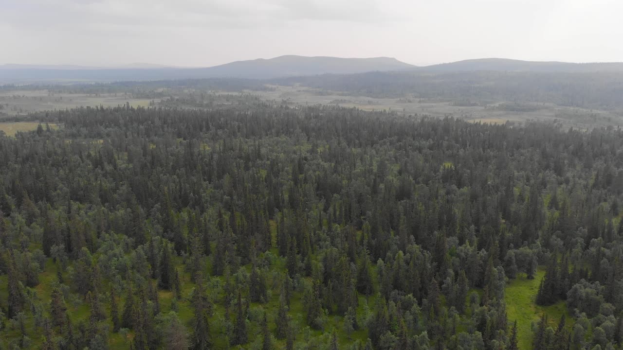 Ripresa aerea di tipica natura del Jämtland o dell'Härjedalen, filmata con drone e scena di volo in avanti.