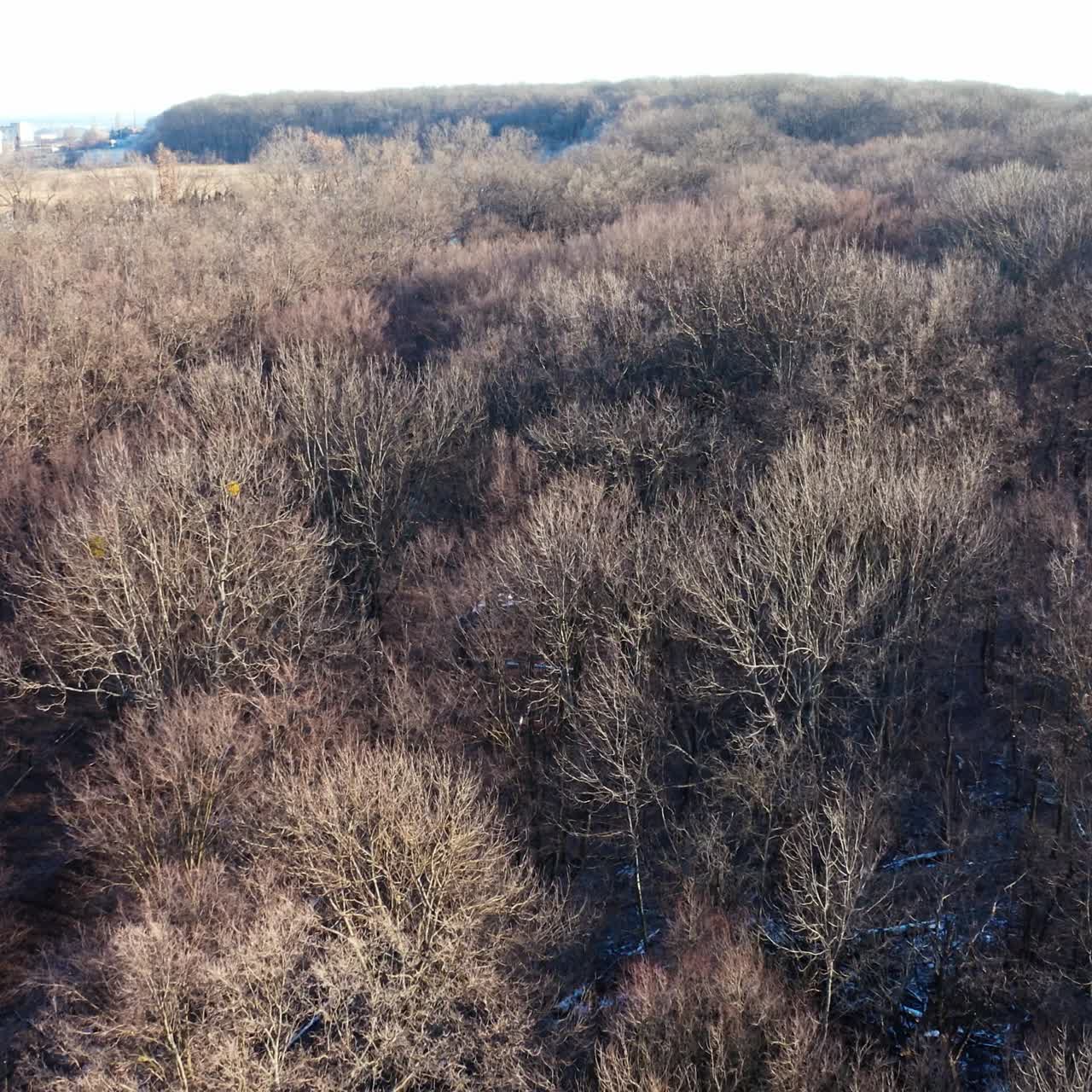 Scenic view on the brown forest. Aerial view on landscape of the trees without leaves in the countryside. Flying over the wood in winter.