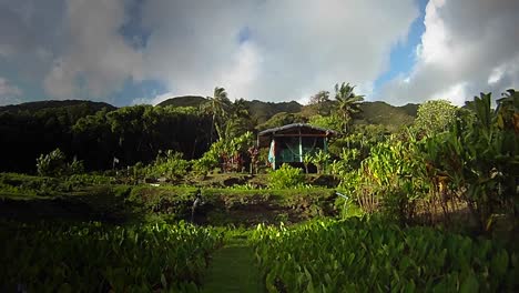 a small hut in a tropical rainforest region