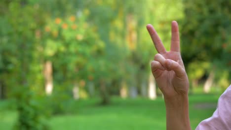 female hands close-up makes a gesture of greeting and kissing with the "v" sign on the background of green nature