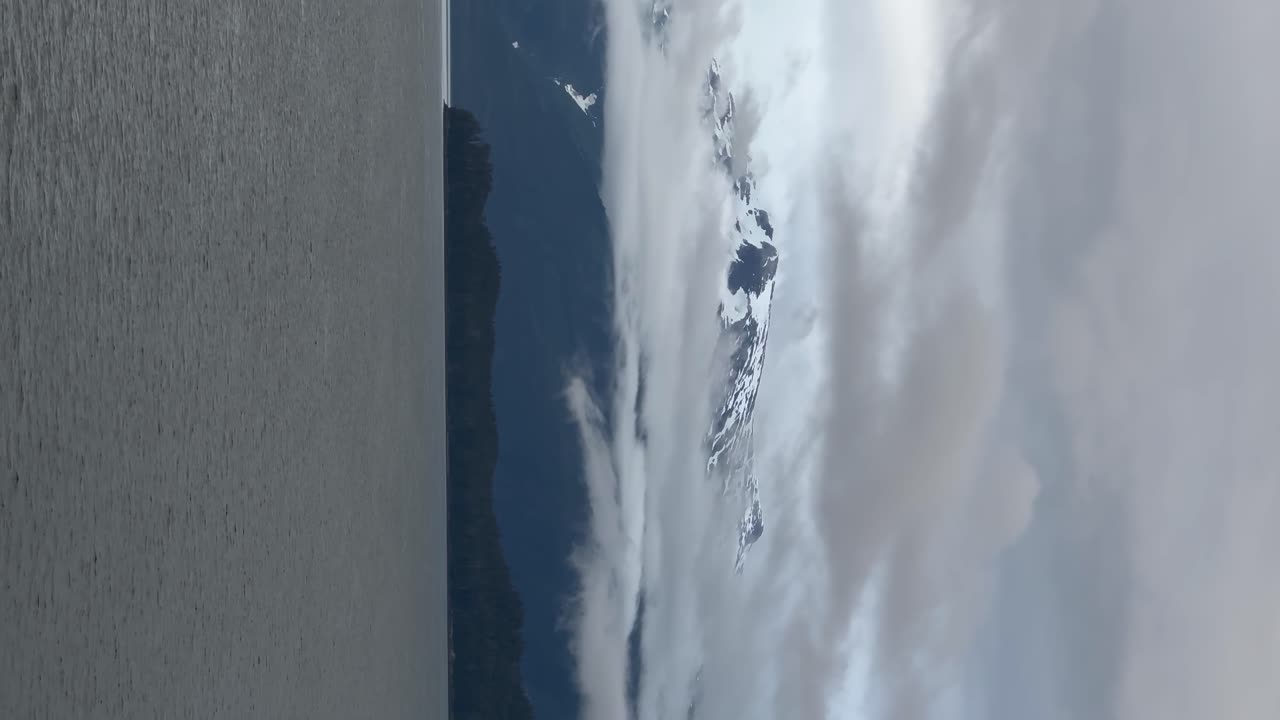 La remota costa selvaggia dell'Alaska in una giornata nuvolosa e nebbiosa, vista da una nave da crociera - verticale.