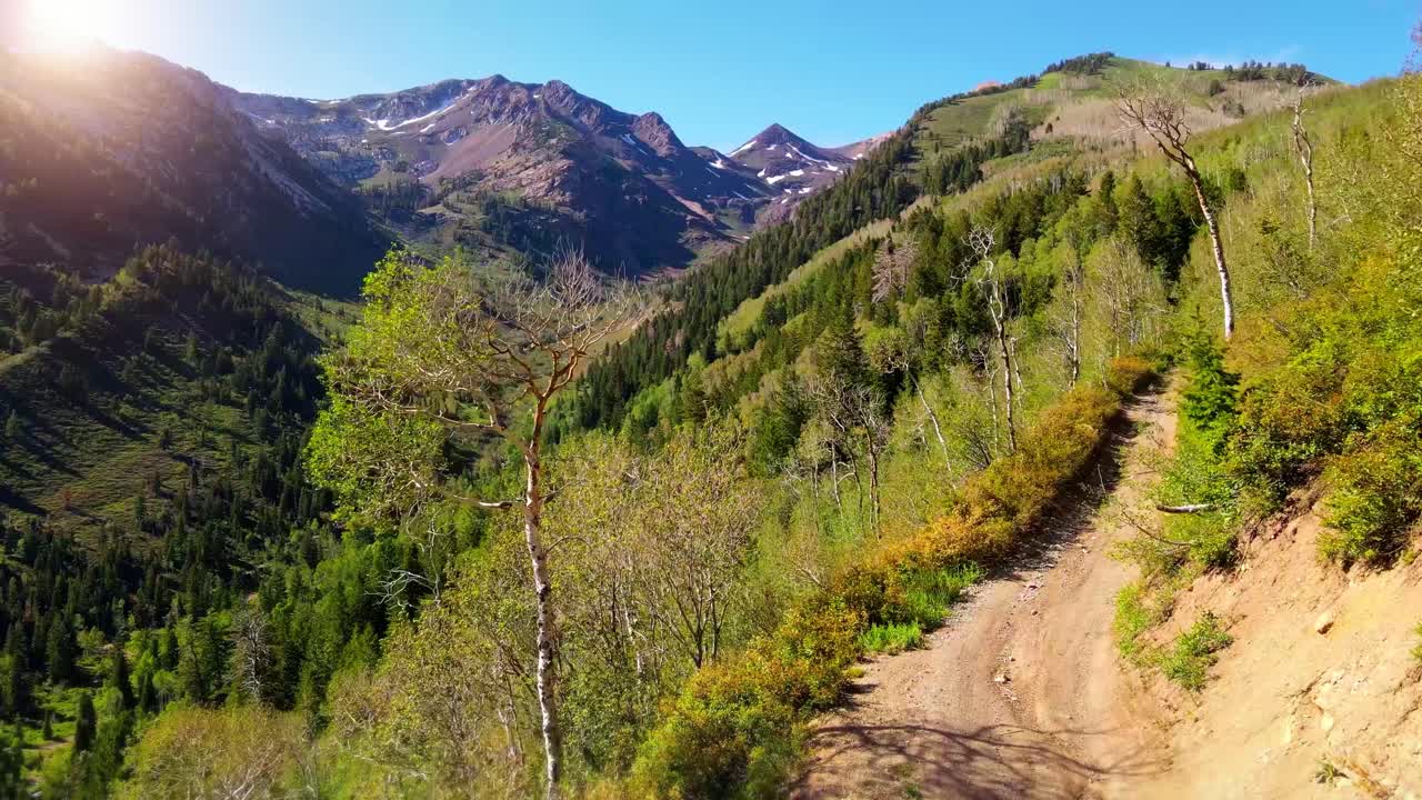 산길을 따라 비행하고 나무 가까이에서 바위 산 너머로 지는 태양과 함께 험준한 봉우리를 봅니다.