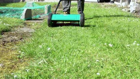 gardener using manual push mower on sunny day