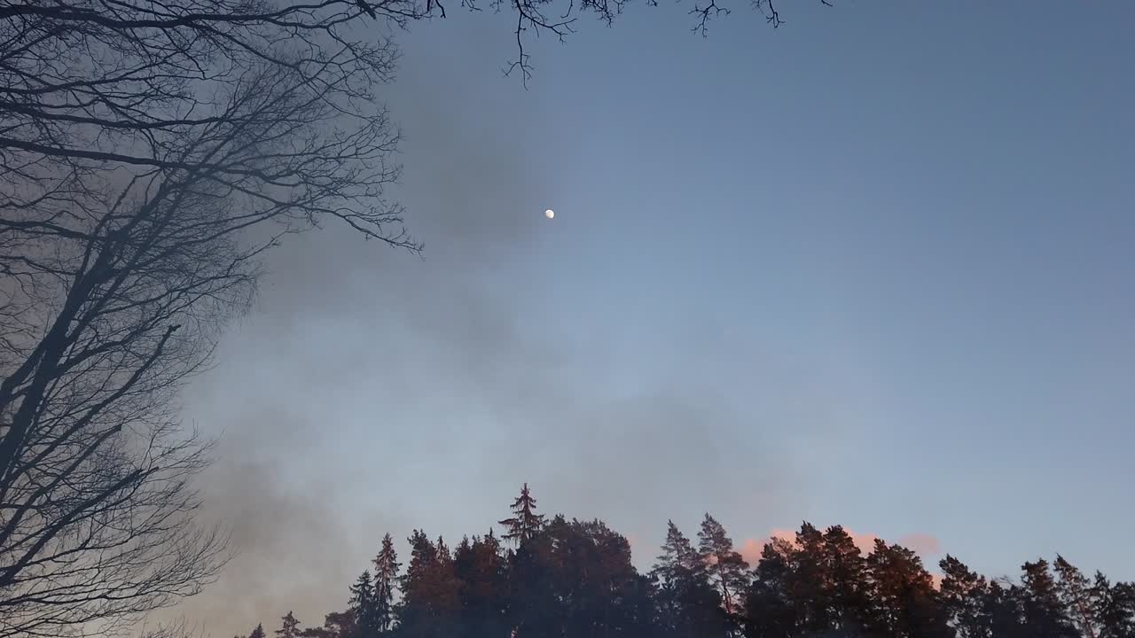 황혼에 달과 함께 하늘로 날아가는 숲의 모닥불 연기 - 왼쪽 패닝, 위로 기울기